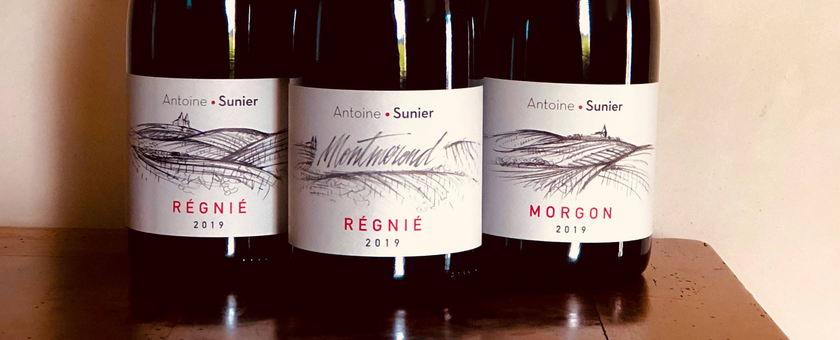 France, vin nature, rawwine, organic wine, vin bio, vin sans intrants, bistro brute, vin rouge, vin blanc, rouge, blanc, nature, vin propre, vigneron, vigneron indépendant, domaine bio, biodynamie, vigneron nature, cave vin naturel, cave vin, caviste, vin biodynamique, bistro brute, Quimper, Finistère