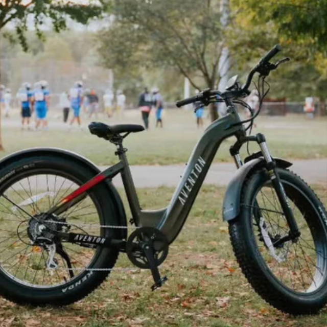 an aventon aventure fat tire electric bike in a city park