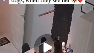 Main Content Image
