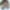 My Profile Picture