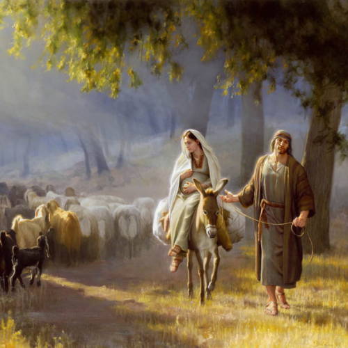 Joseph leading Mary on a donkey past a young boy's heard of sheep.