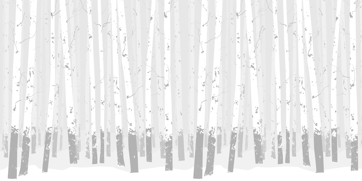 grey & white birch tree wallpaper mural pattern image