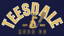 Teesdale Cricket Club logo
