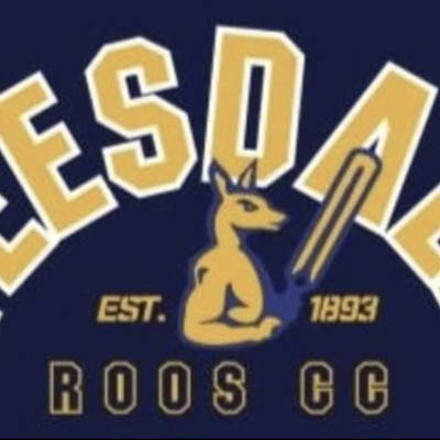 Teesdale Cricket Club Logo