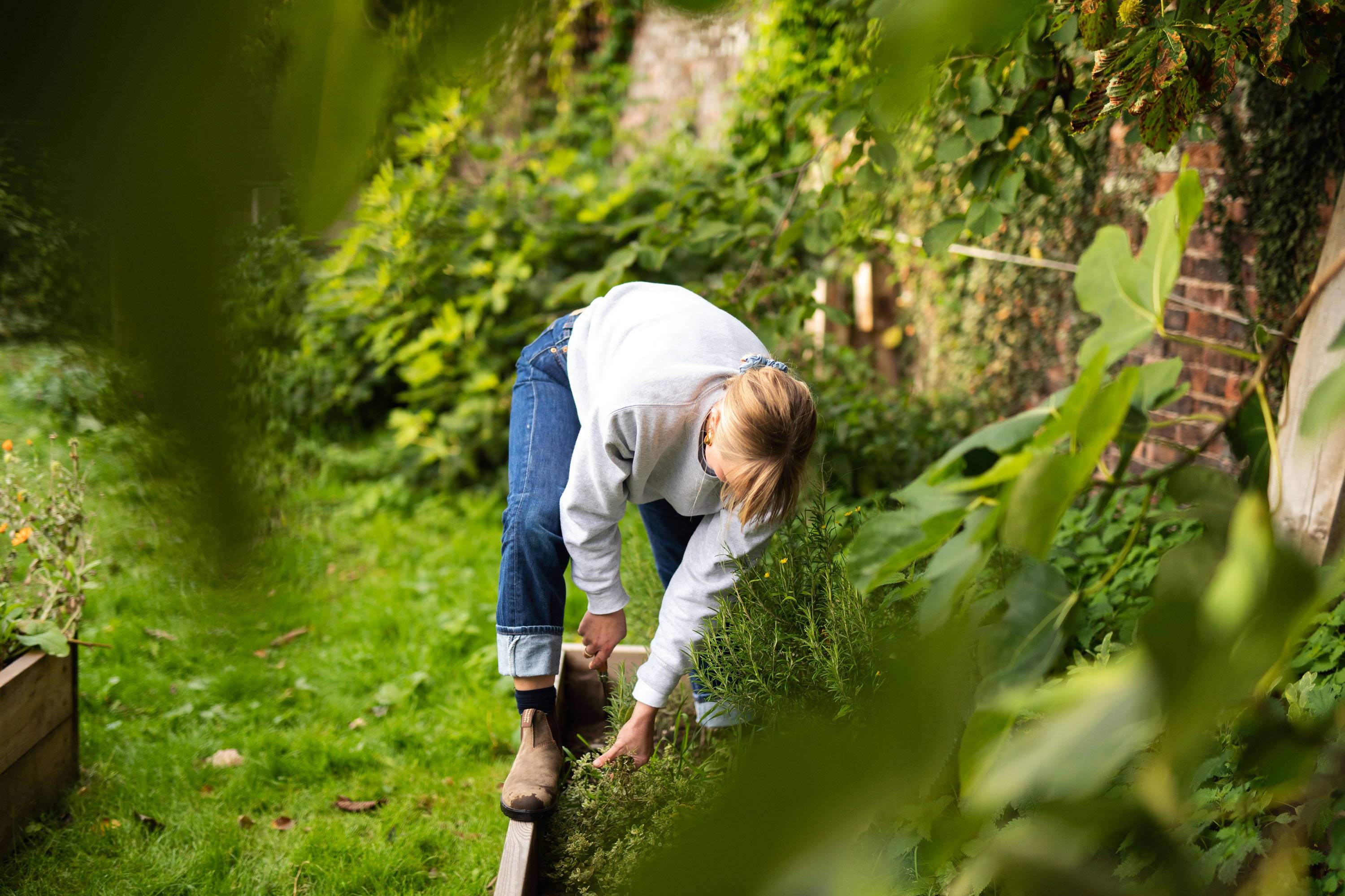 Xanthe Gladstone gardening