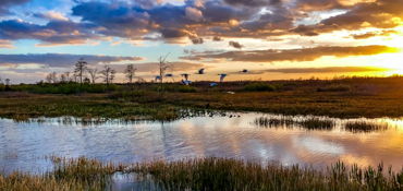 Motorcycle to Everglade National park (2 days)