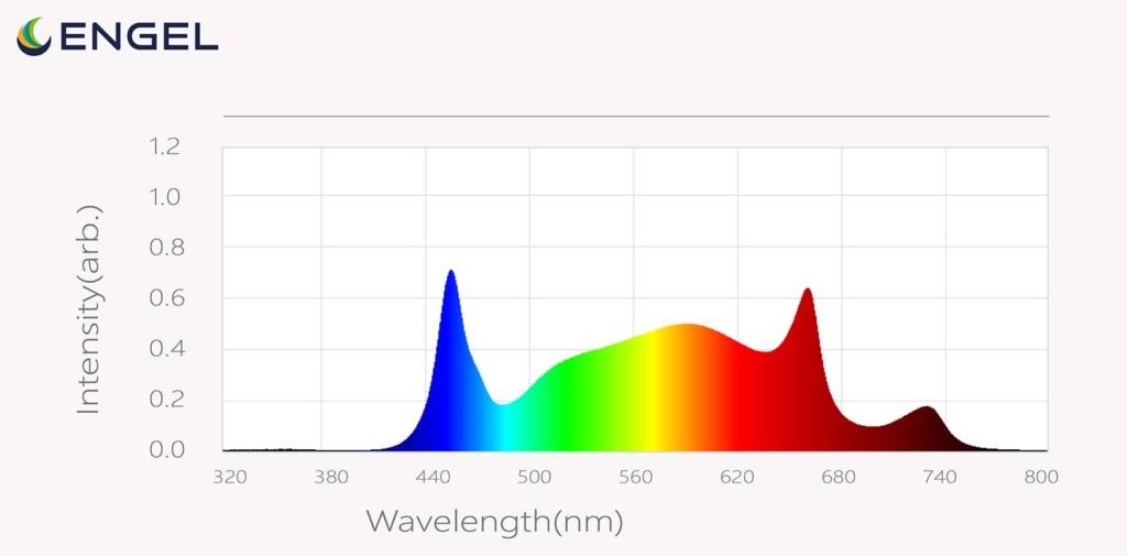 Engel Lichtspektrum Wellenlänge Farbintensität