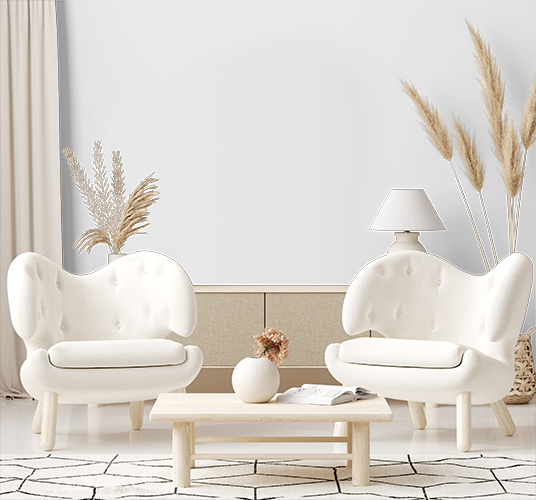 White rustic living room ideas