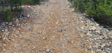 Cedro Hard ADV Route 1  near Tijeras, NM