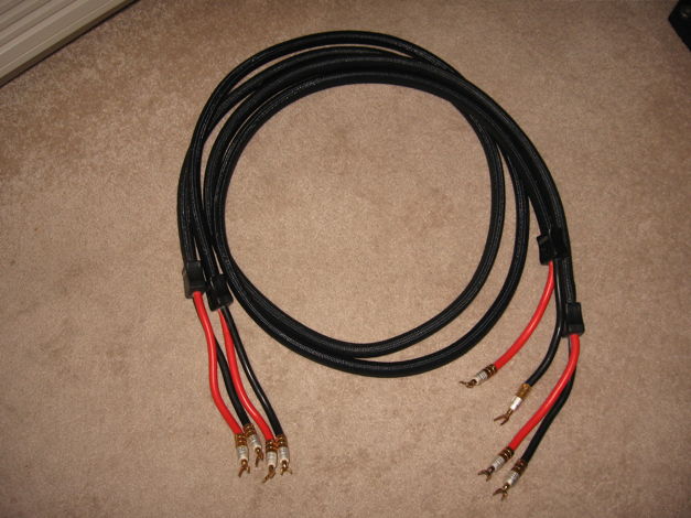 Ps Audio Statement XStream Speaker cables