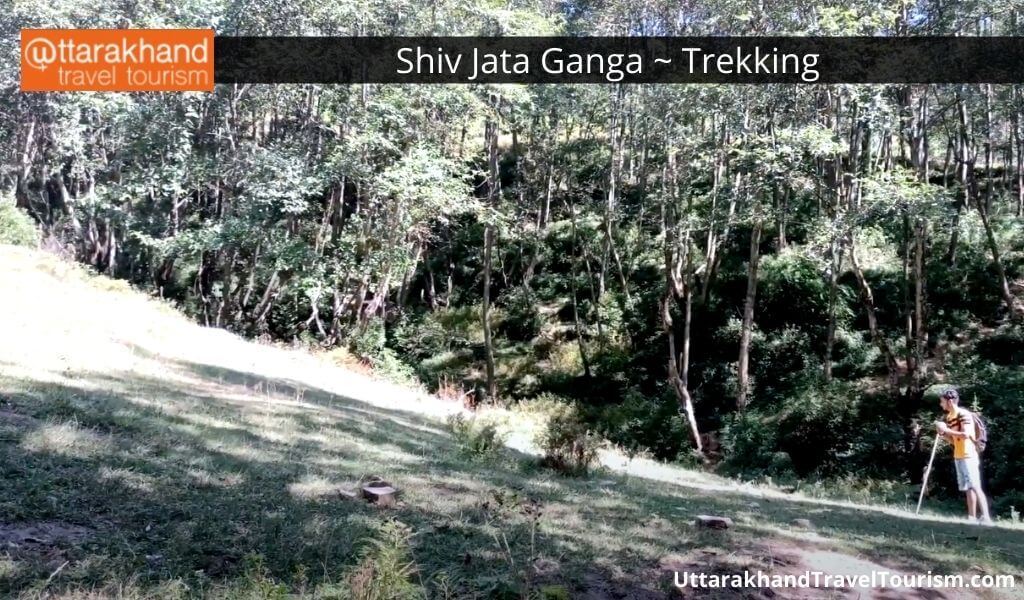 Shiv Jata Ganga 2.jpeg