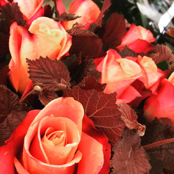 rose-orange-a-la-piece