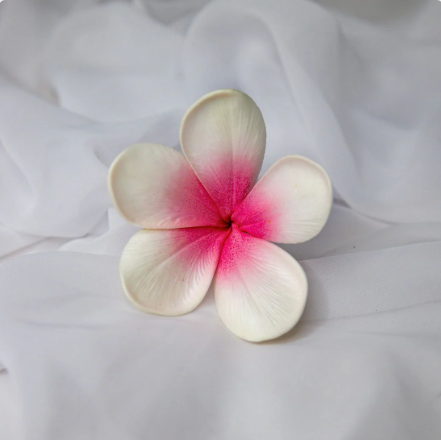 White Pink Frangipani Flowerhead ( 6 Pack ) - Realistic Artificial Flowers - Image 4