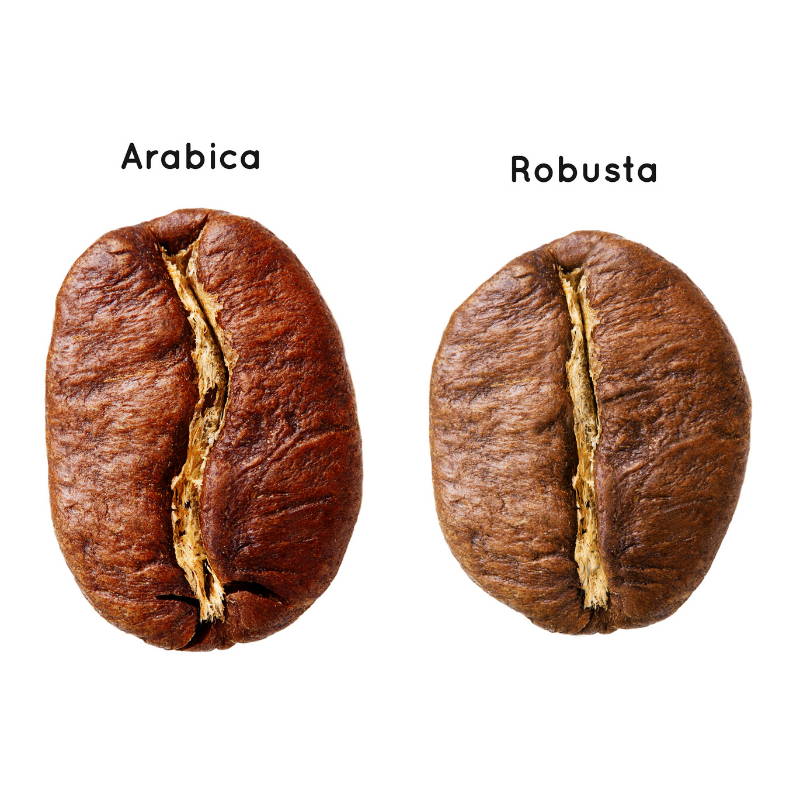 Arabica, Rubusta, koffiebonen, beste koffiebonen, Italiaanse koffiebonen