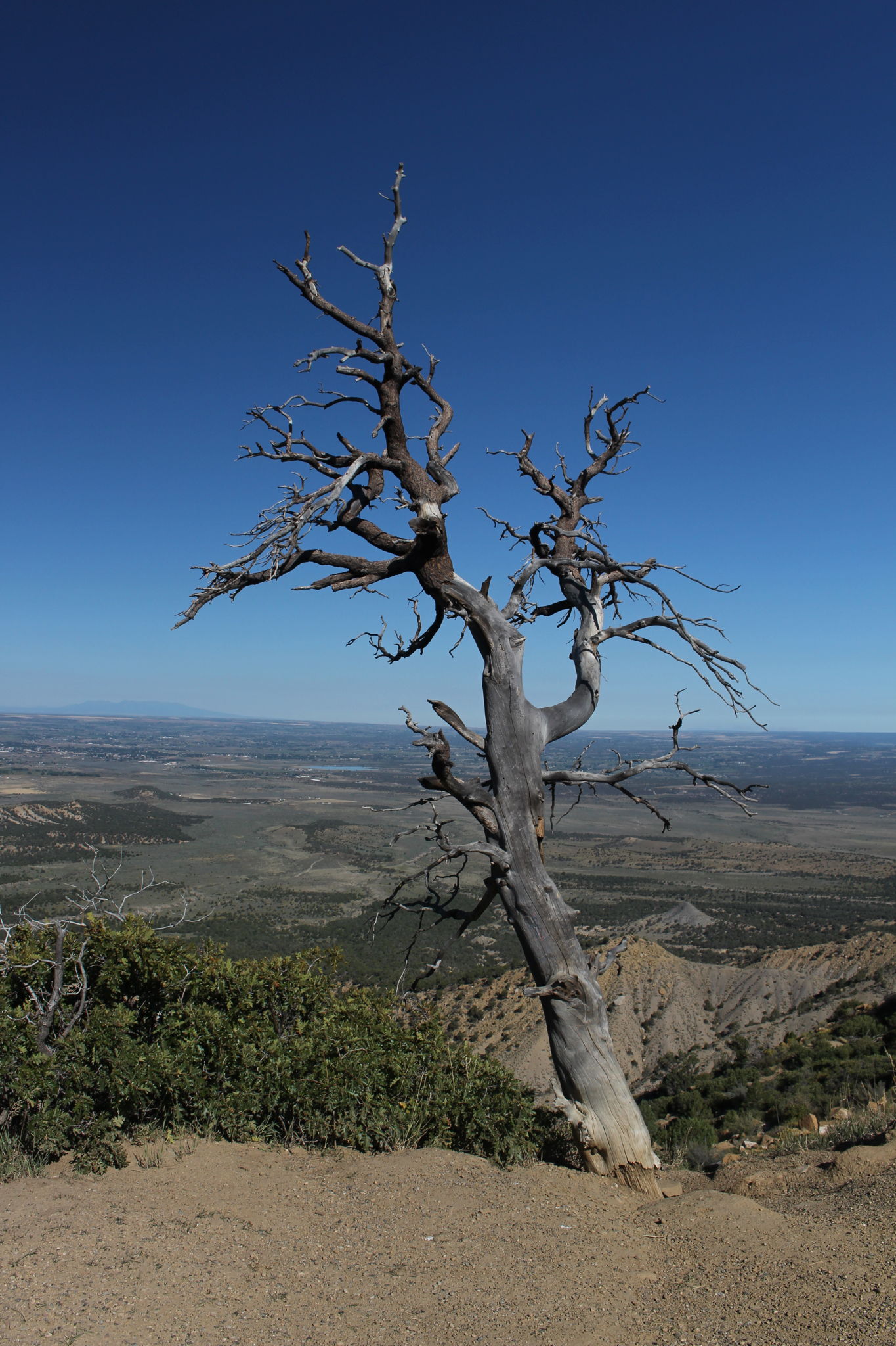 Colorado, Mesa Verde National Park