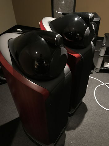 B&W (Bowers & Wilkins) 802D Rosenut all box and papers