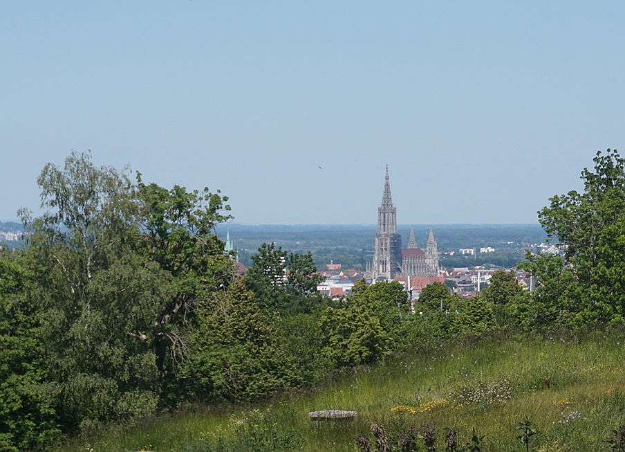  Ulm
- Blick auf Ulmer Münster