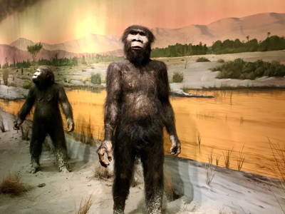Las Vegas Natural History Museum Uploaded on 2022-01-31