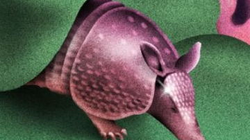 Main Content Image
