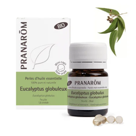 Perles d'huile essentielle d'eucalyptus globuleux bio