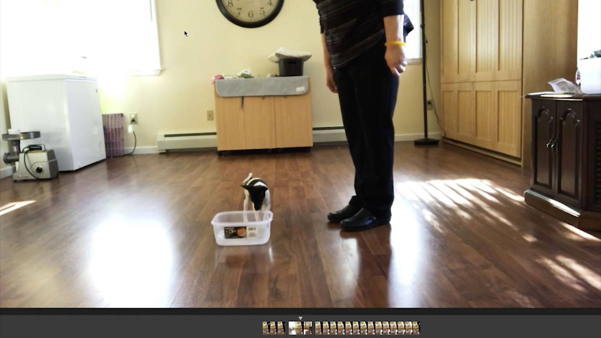 Video