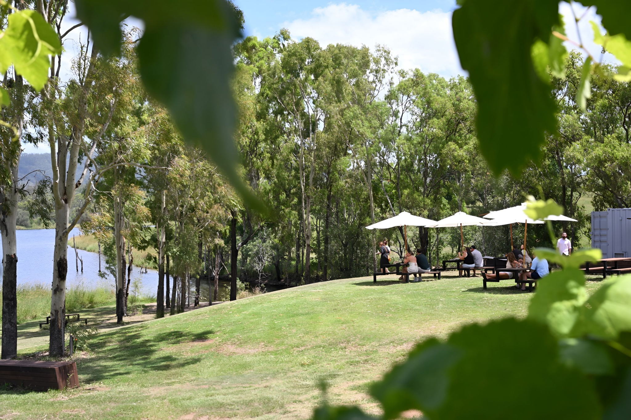 Roastbeef and The Frog at The Overflow Estate 1895 $10 Voucher - Image 4