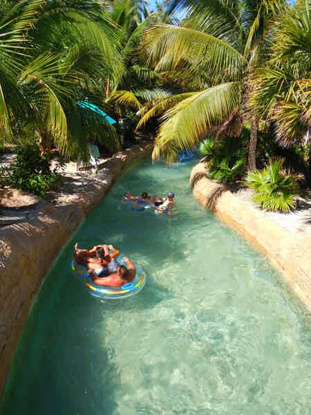 Play with Dolphins in Dubai's Atlantis Waterpark - photo 3