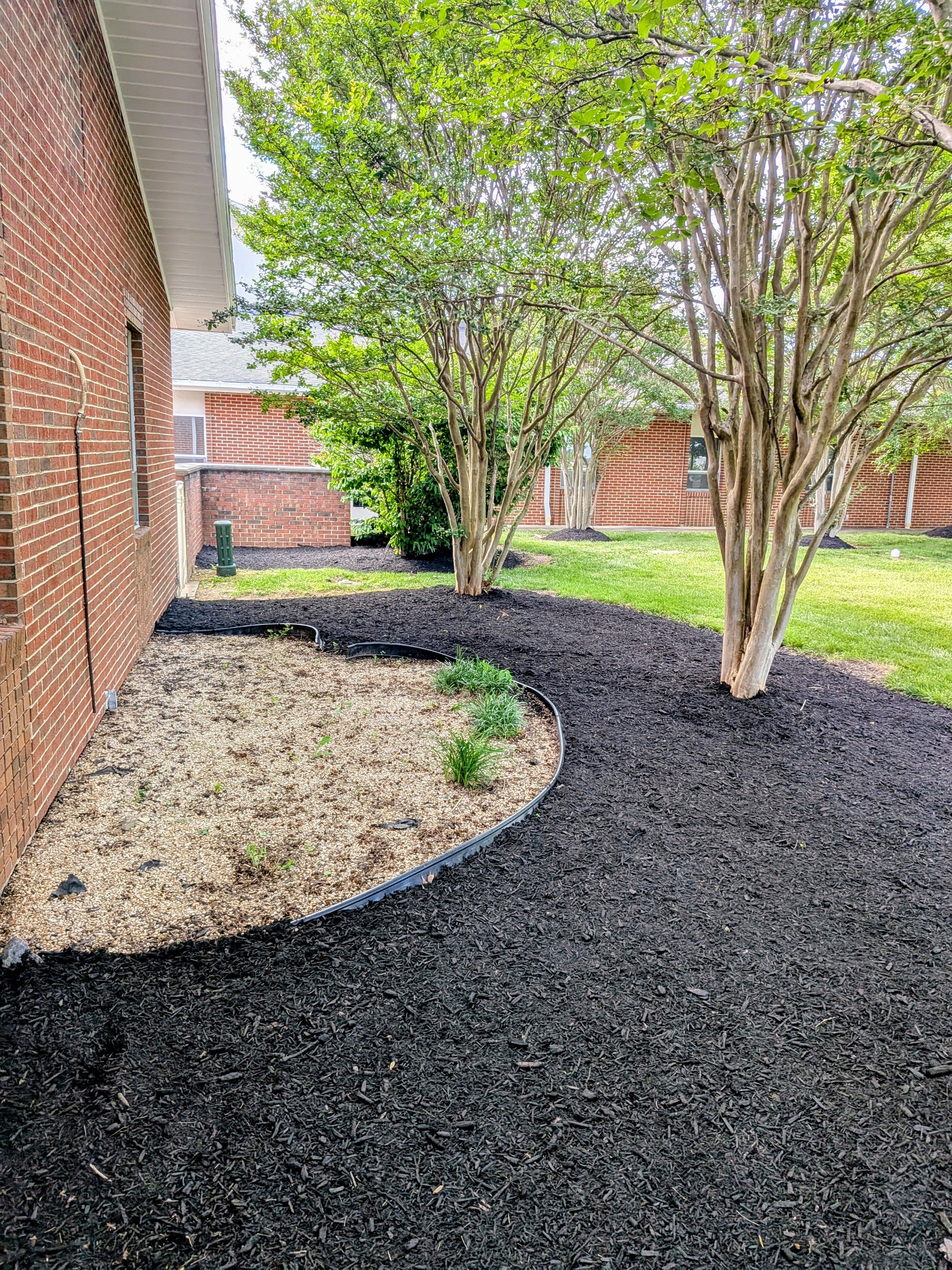 Professional mulch bed installation with trees