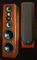 Legacy Audio Focus SE in rosewood Colo. pick-up