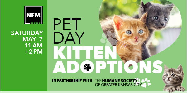 Pet Adoptions promotional image