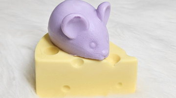 Main Content Image