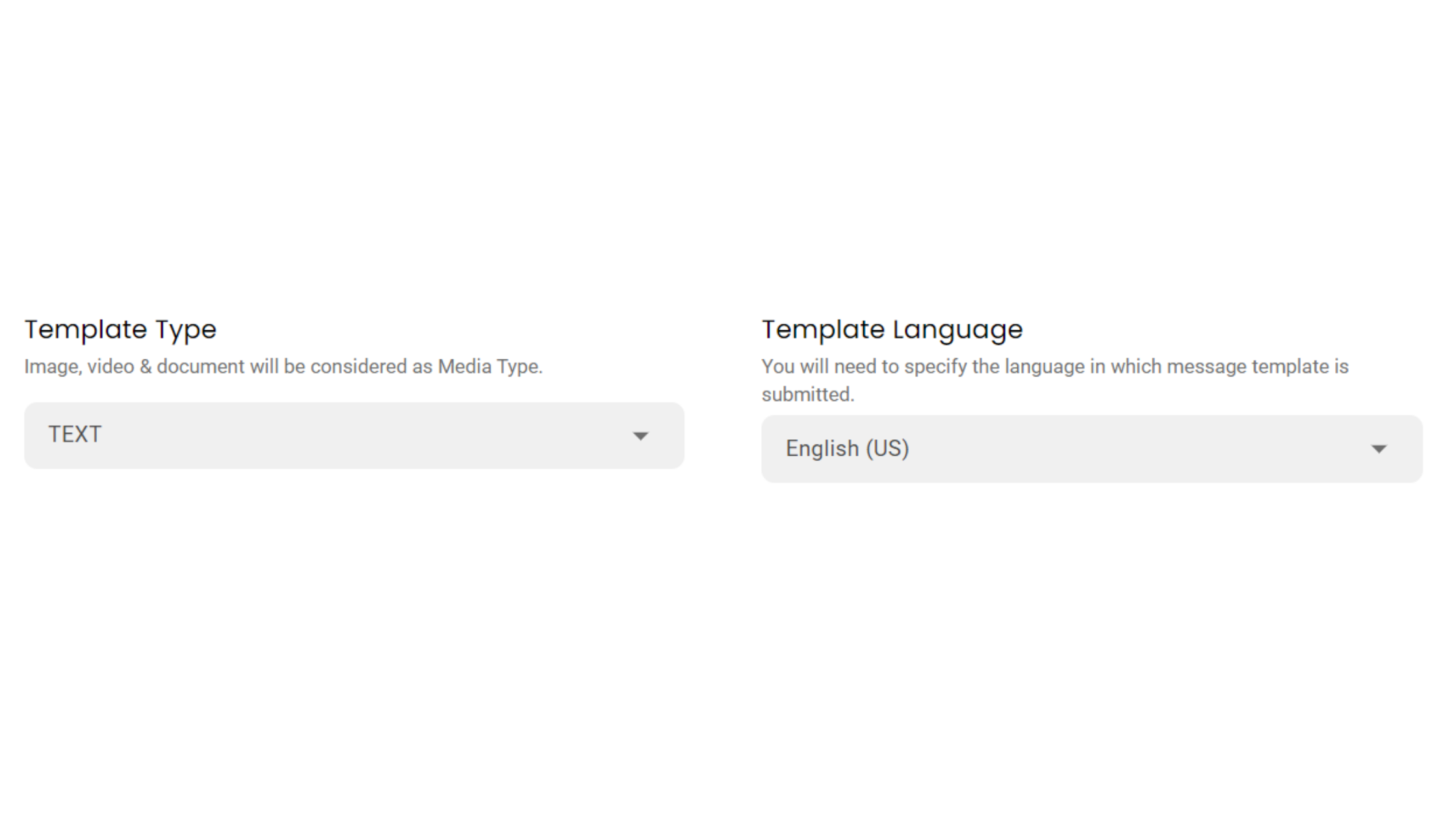 Choose template type & language