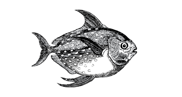 An image of a graphic in black displaying a fish