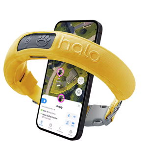 Halo Collar 4, All New GPS Wireless Dog Fence & Training Collar with Real-Time Tracking, Waterproof, One Size (4 Colors)