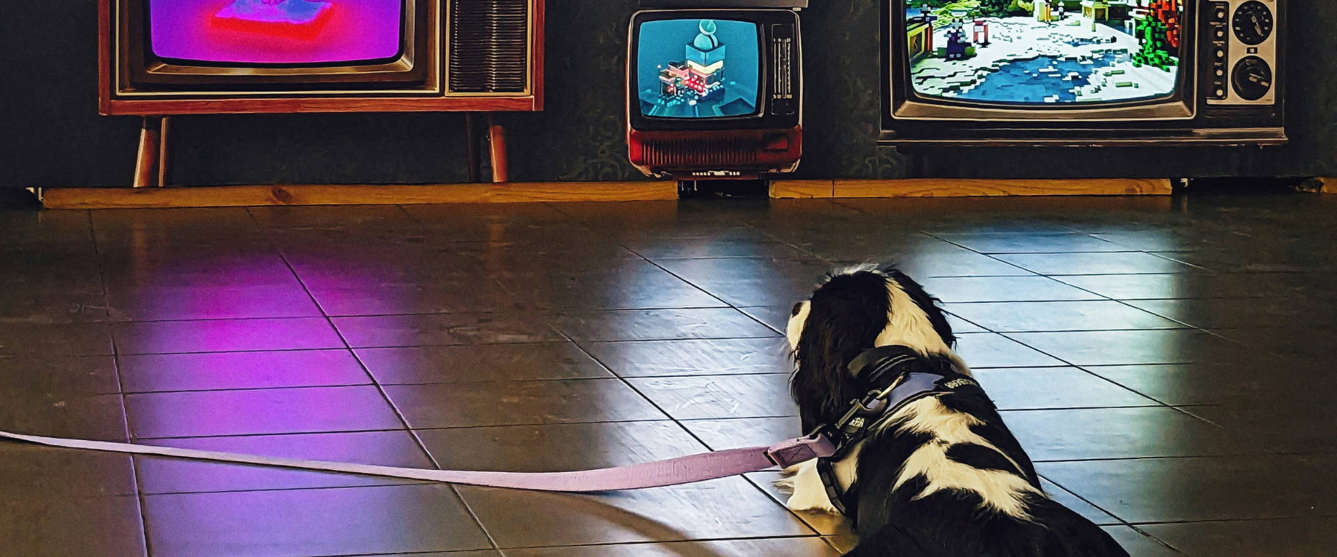 Tilly & Ted dog watching cartoons on TV