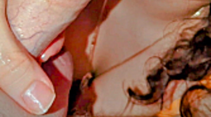 Main Content Image