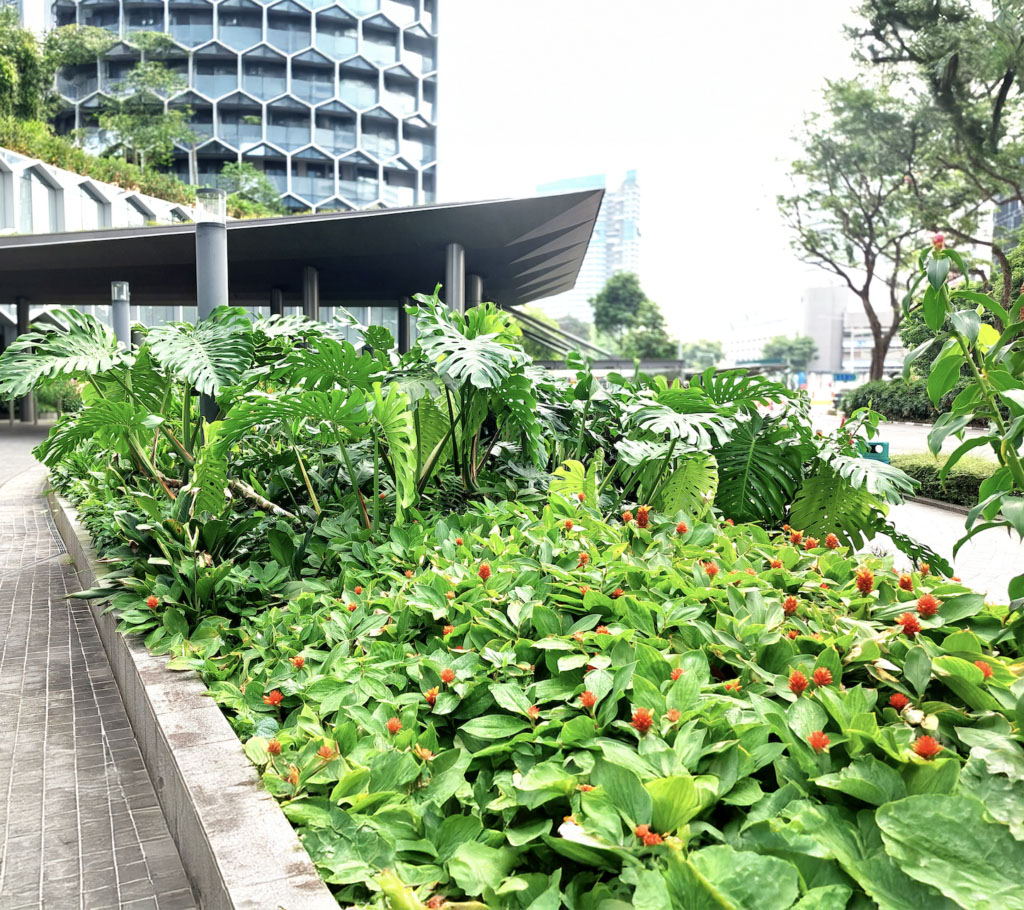 Australia & NZ ESG Impact Report