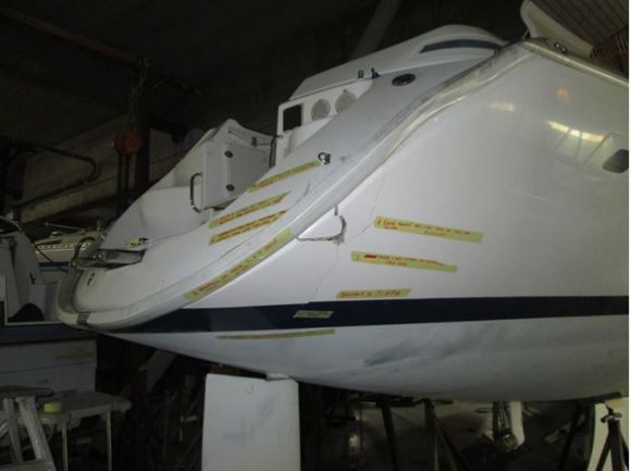 profile