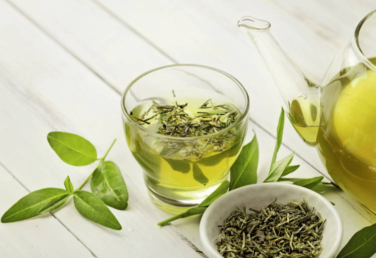 紅茶 緑茶 違い