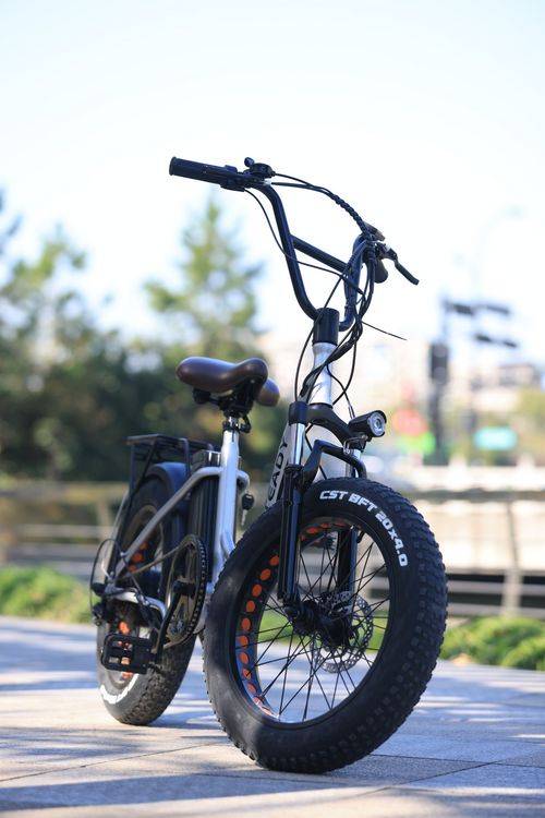 The Best Ebikes for Seniors in 2024