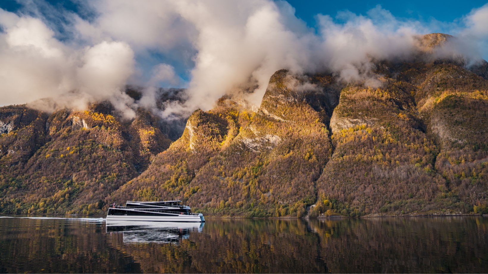 Fjordcruise