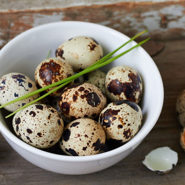 oeufs-de-caille-frais