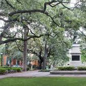 40 Acres and a Mule Tour