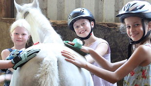 reitanlage schnitzler k