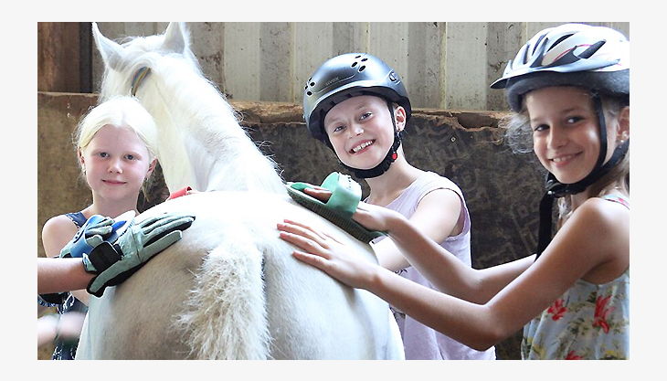 reitanlage schnitzler k