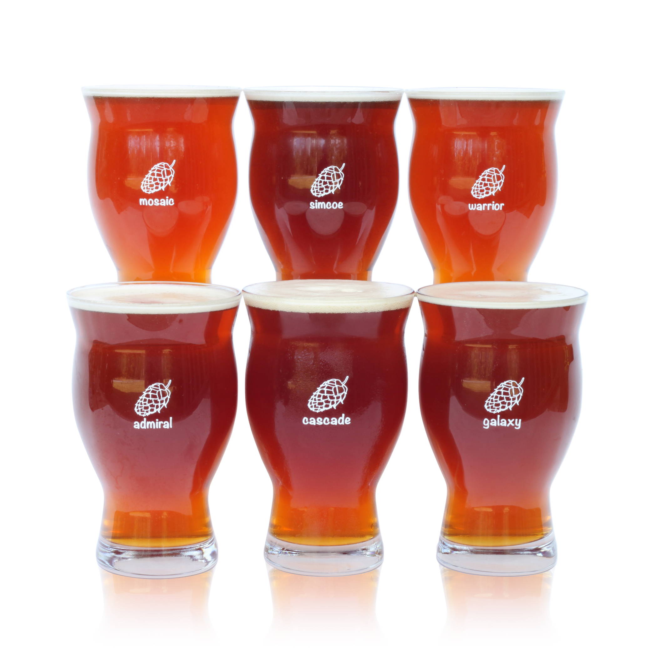 Ultimate Pint 6-Pack