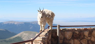 5 Scenic Self-Guided Motorcycle Rides near Denver, CO