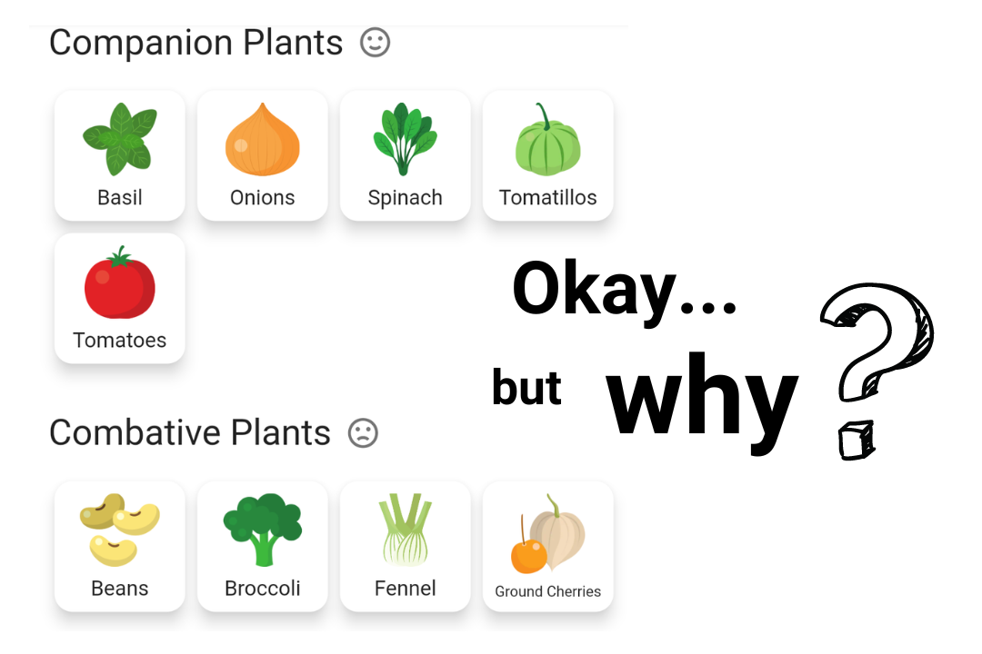 Companion planting screenshot with &ldquo;Okay&hellip;but why?&rdquo; text.