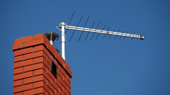 profile-3