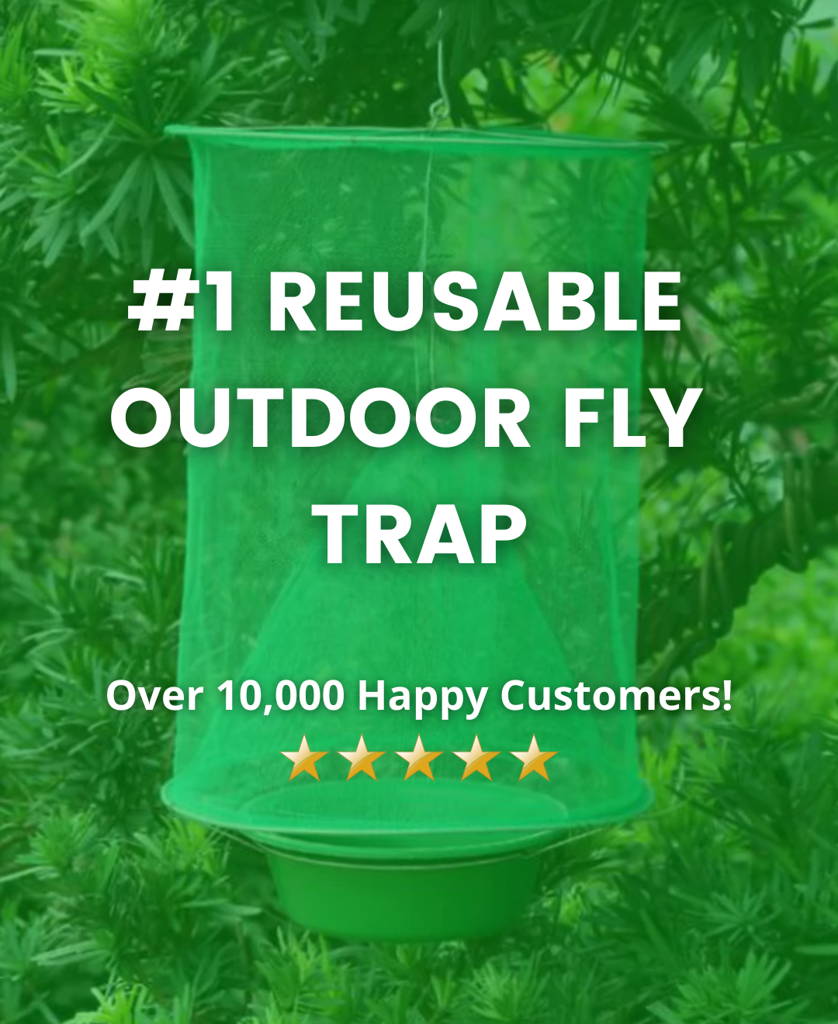 Fly Trap for Outside